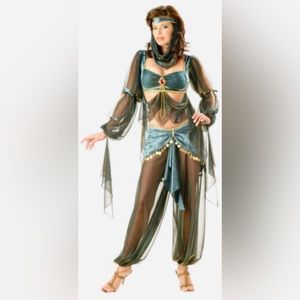 Incharacter Harem Princess Costume